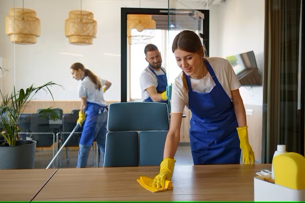 professional doing housekeeping service in Bangalore